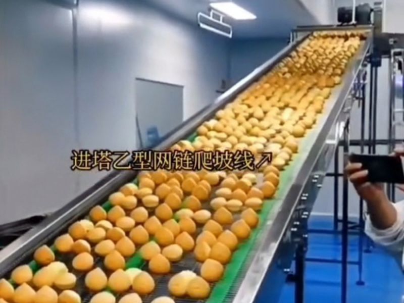 网链输送机